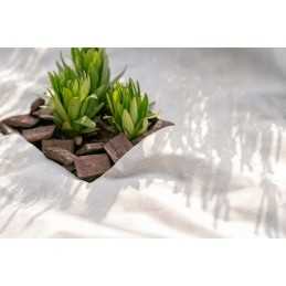 Agrotekstilė (žiema-pavasaris) bradas balta 160x500 30g aww3016005