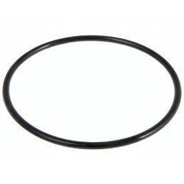 Bestway O žiedo sandariklis siurblio veržlei 58499