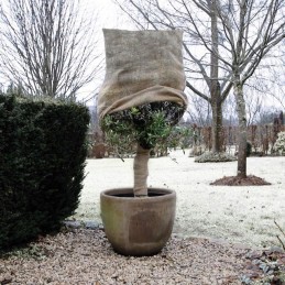 Augalinis audinys apsauginiai gobtuvai planta žalia 100x 110 cm 450 gm