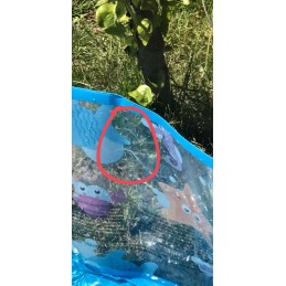 Pripučiamas baseinas 122 x 25 cm