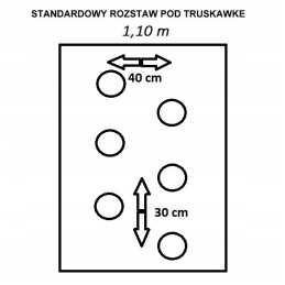 Agrotekstilė, išpjaukite 2 eiles bet kokio ilgio skylučių braškėms