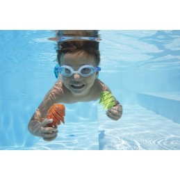 Nardymo žaislai, žuvys išnešamos į baseiną