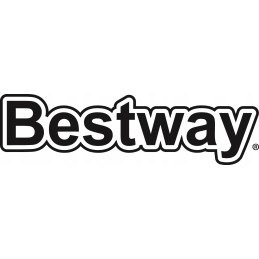 2 x filtras siurbliui 1249 l tipo ir bestway 58093