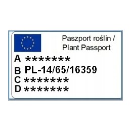 Agrimpex agrotekstilės mulčiavimas 3,2 x 5 m smeigtukai