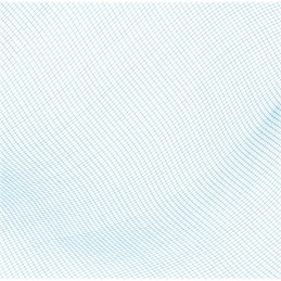 Bestway 58277 baseino valymo tinklelis