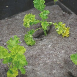 Vilnonis neaustinis audinys 120x80cm - nelson garden