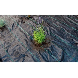Agrotekstilė nuo piktžolių, juoda, UV, 2,0 x 10 m, 70g
