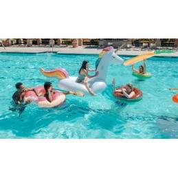 Minus ph granulės baseinams 1 5kg gamix