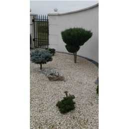 Agrotekstilė braškėms, skylutės braškėms, 80 cm, pirkta metrais! 50g/m2