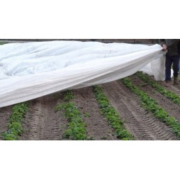 Balta agrotekstilė