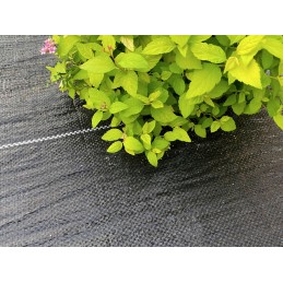 Premium agrotekstilė 135g/m2 juoda agrotekstilė 1,1x10m
