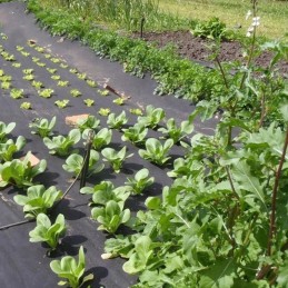 Stipri sodo agrotekstilė 1,5x10m, juoda, piktžolėms