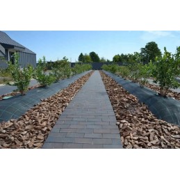 Agrotkanina 1 6x10m 100g m2 UV premium augimo audinys geowwoven