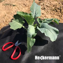 Agrotekstilė nuo piktžolių matinė juoda UV agrotekstilė 1,6x10m 100g/m2 storio