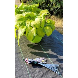 Agrotekstilinis kilimėlis nuo piktžolių 0,8x50m 70g/m2