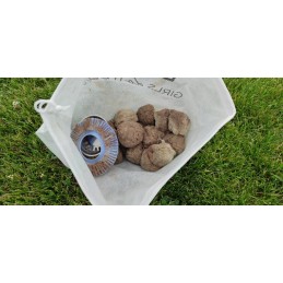 Bestway filtro kamuoliukai baseino siurblio filtras 58475