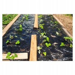 Mulčiavimo kilimėlis nuo piktžolių 5x2 m 80 g/m²