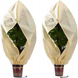 Yohencin augalų apsauga žiemai, kvėpuojanti, atspari vandeniui, izoliuota, smėlio spalvos, augalų apsauga, žiemai, palmė, alyvme