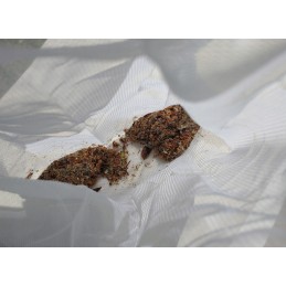 Baseino dulkių siurblys sūkurinės vonios baseino sienelių dugno valymui, stulpas P1102BU