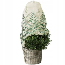 Neaustinis paparčio lapų gaubtas