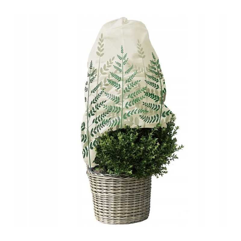 Neaustinis paparčio lapų gaubtas