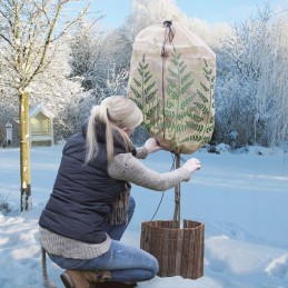 Neaustinis paparčio lapų gaubtas