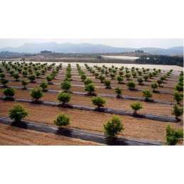 Kaip pateikti užsakymą