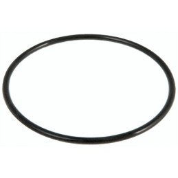 Bestway O žiedo sandariklis siurblio veržlei 58499