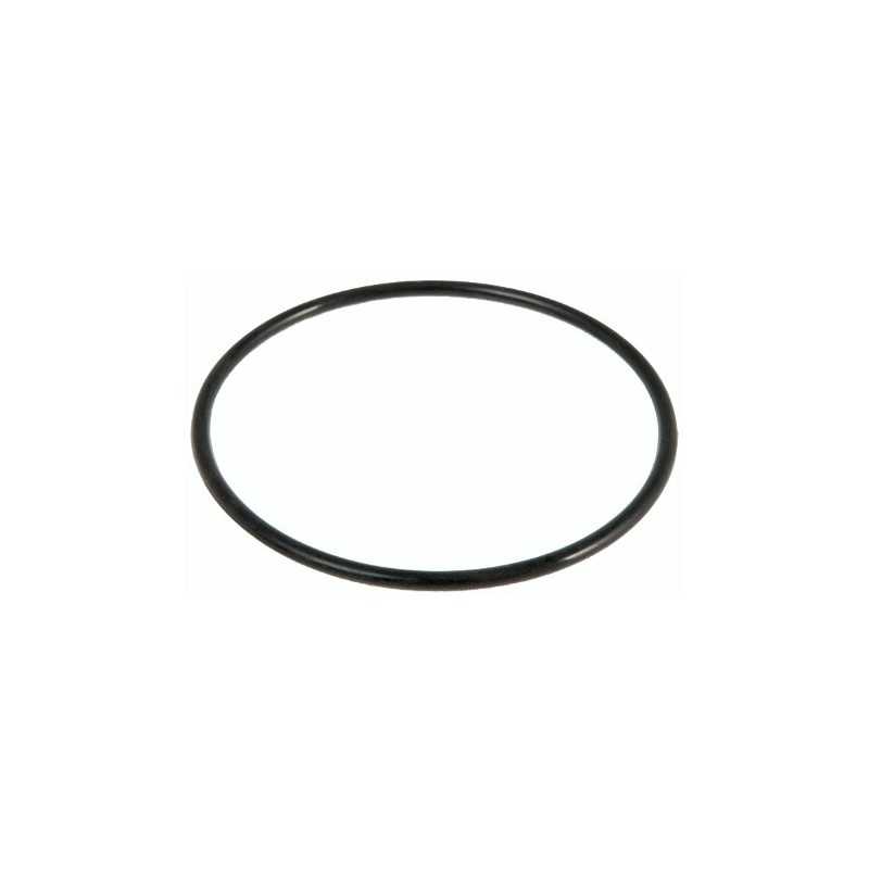 Bestway O žiedo sandariklis siurblio veržlei 58499