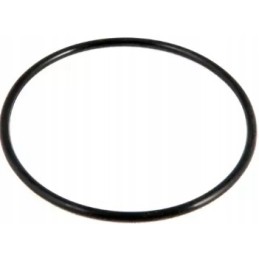 Bestway 58515 siurblio valdymo vožtuvo tarpiklis