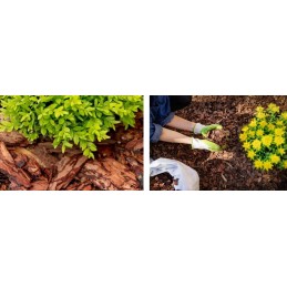 Stora agrotekstile black fiberina forte premium 3,2x5m 80g