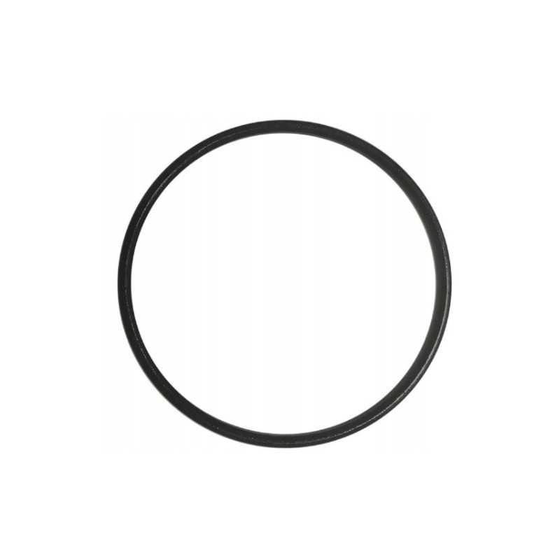 Bestway O žiedo sandariklis siurblio veržlei 58499