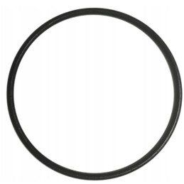 Smėlio siurblio sandariklis, Bestway pirminis filtras