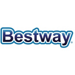Smėlio siurblio sandariklis, Bestway pirminis filtras