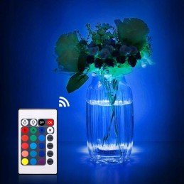 2x vandeniui atsparus 10 LED RGB baseino šviesos akvariumo povandeninės šviesos nuotolinio valdymo pultas