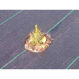 Kaip pateikti užsakymą