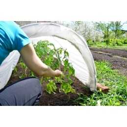 Agrotekstile dengiantis sodo neaustinis audinys 1,6x5 m spyruoklinis baltas 17g atsilikimas