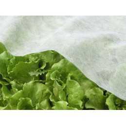 Agrotekstile dengiantis sodo neaustinis audinys 1,6x5 m spyruoklinis baltas 17g atsilikimas