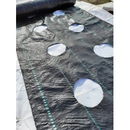 Žemės ūkio audinys su skylutėmis braškėms, agurkams ir salotoms