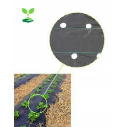 Žemės ūkio audinys su skylutėmis braškėms, agurkams ir salotoms