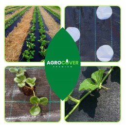 Žemės ūkio audinys su skylutėmis braškėms, agurkams ir salotoms