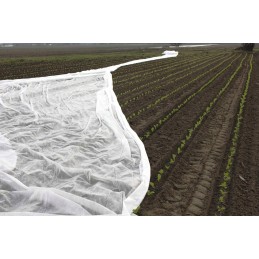 Balta žieminė agrotekstilė 320 cm x 10 metrų, apsauga nuo šalčio