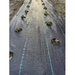 Kaip pateikti užsakymą