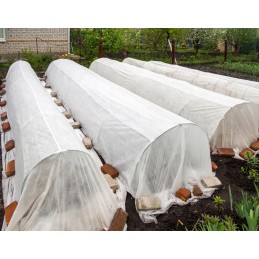 Išaugintas audinys baltas 150g m2 su uv 10 m bellushortus