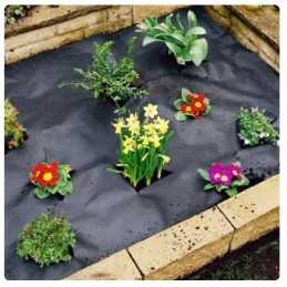 Juoda nuo piktžolių agrotekstilė, plotis 80 cm