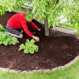 ✨ Agrotekstilė 70g 0,8mx50m juoda