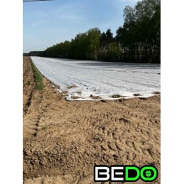 Statybinė ekspertė perforuota folija 3,6x10m