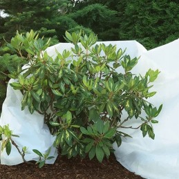 Agrowwoven agrimpex biala 3 2 x 5 m 50 g m2