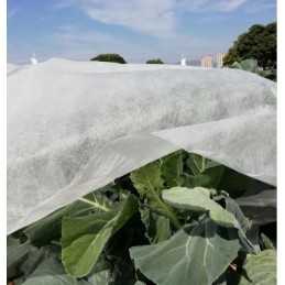 Agrotekstilės spyruoklinis dengiantis kilimėlis 1,6x5 baltas