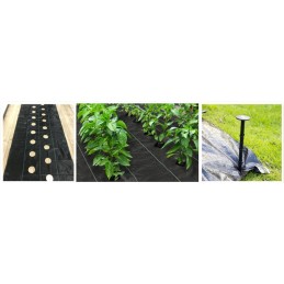 UV agrotekstilė su paruoštomis skylutėmis braškių, agurkų, salotų, pomidorų ir kt. sodinukams.